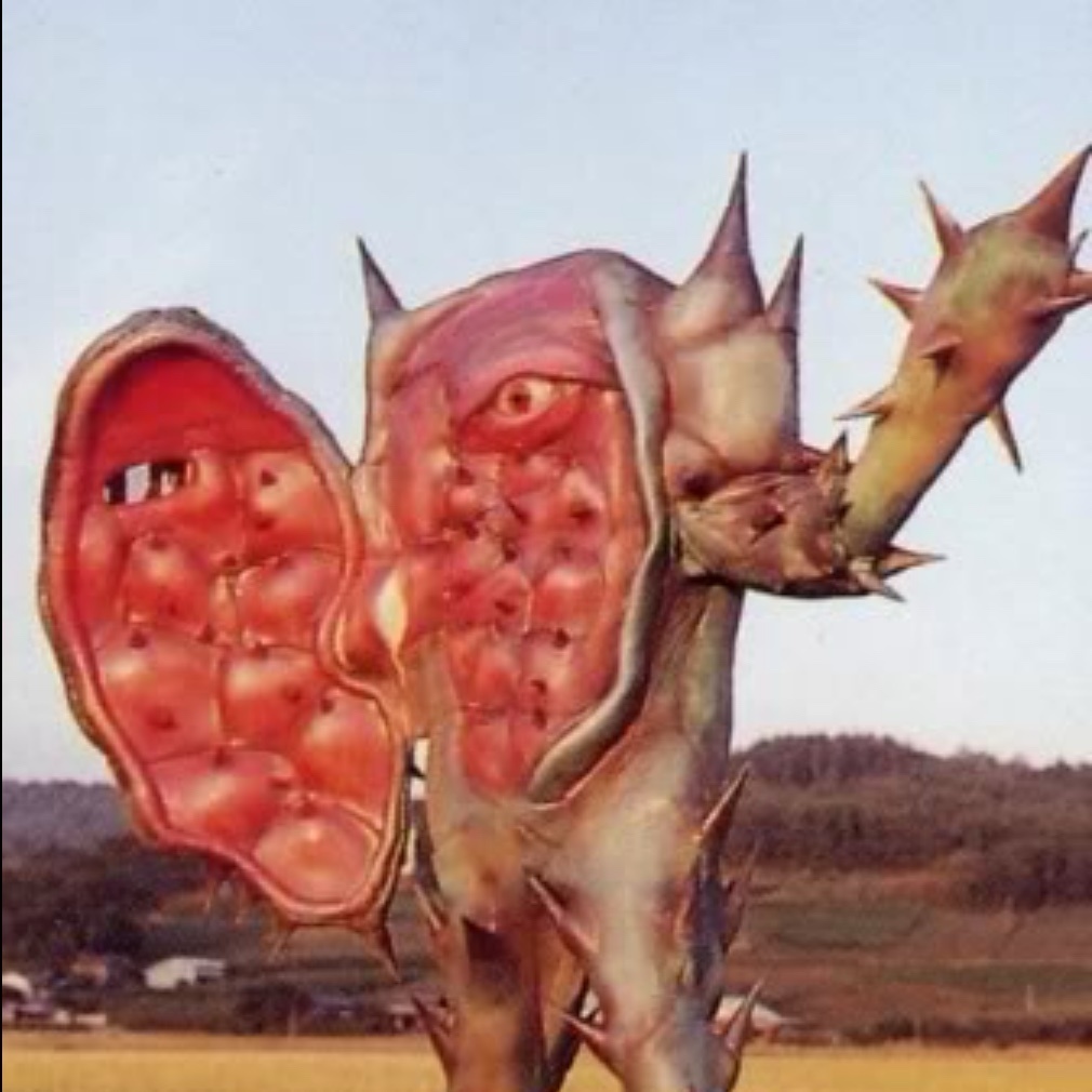 おはようサンテレビ