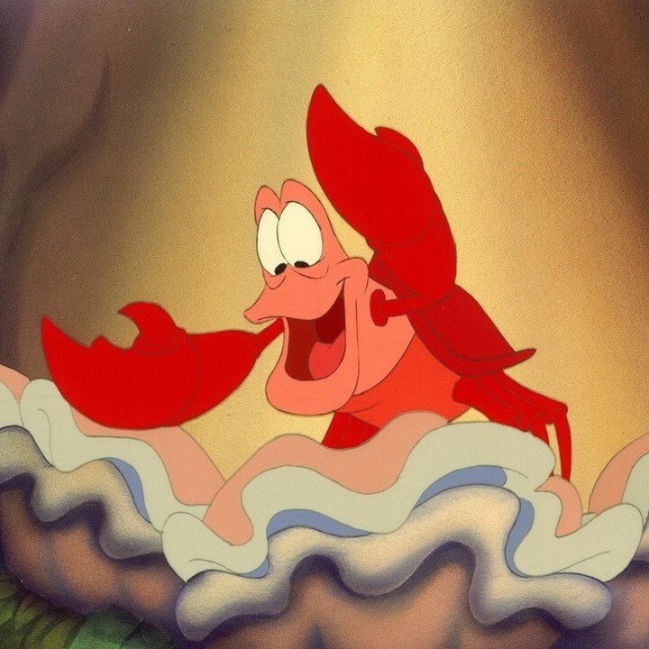 セバスチャン🐈⬛🎀