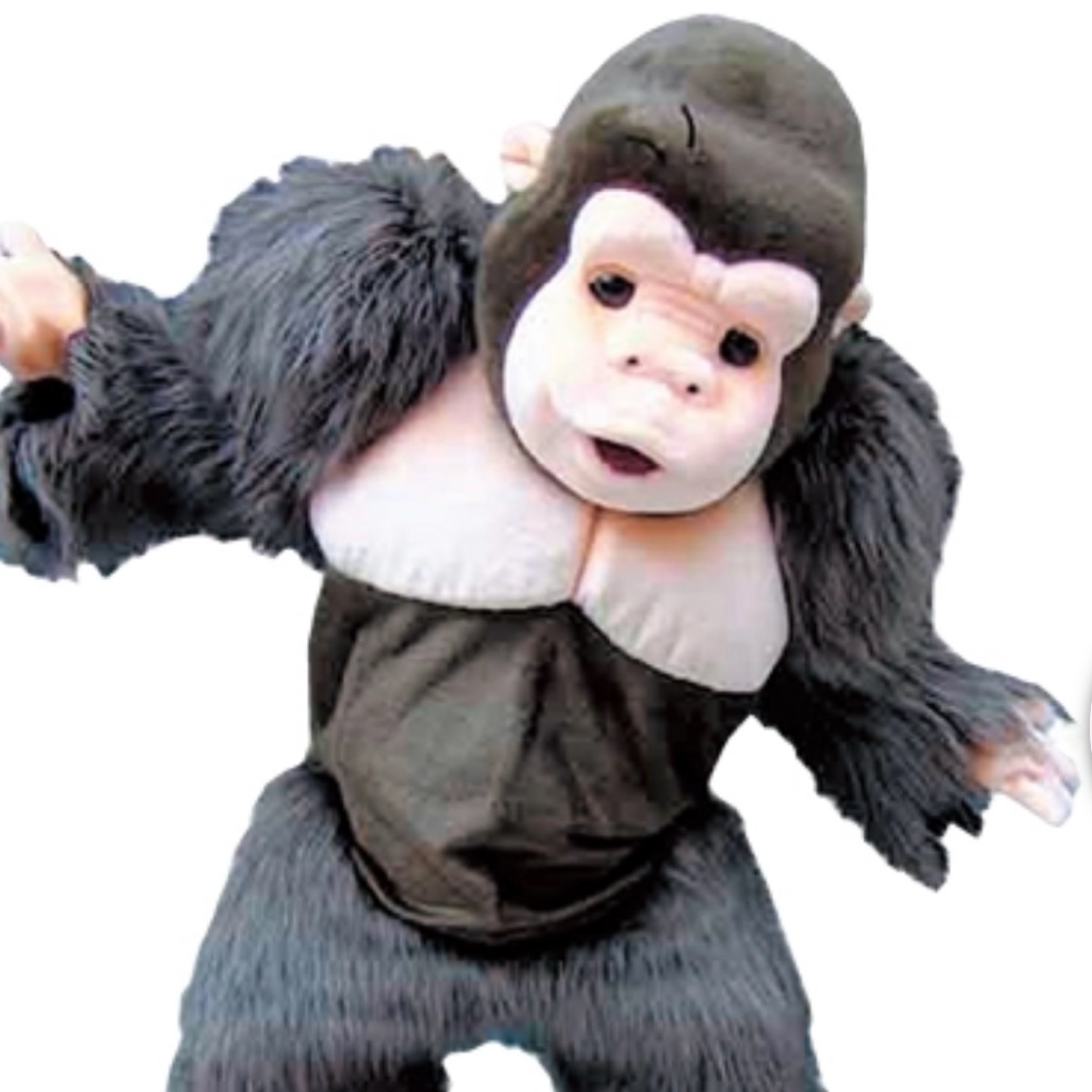 あんり🩷⛷️ウホホッ🐾❤️‍🔥و