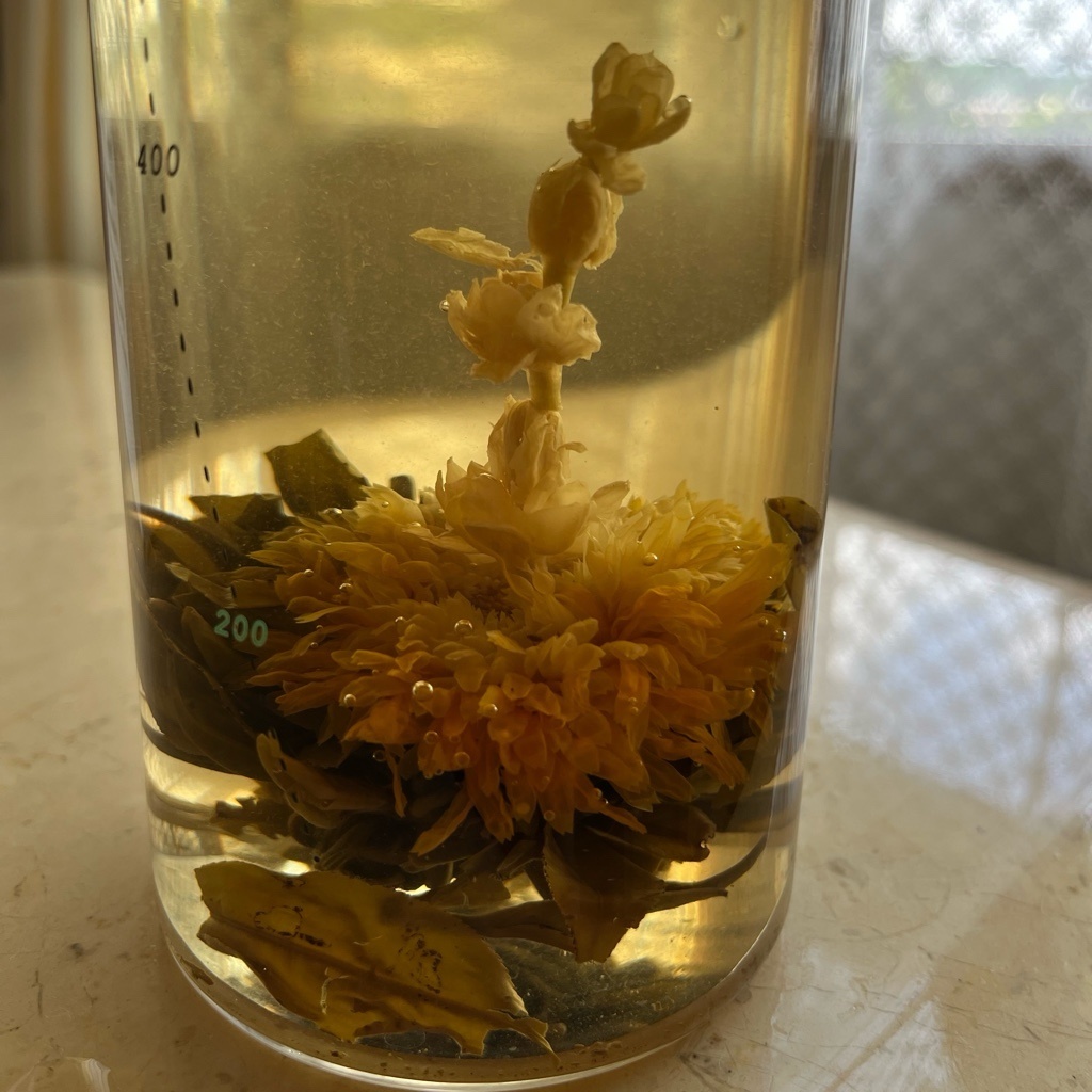 奈良と言えば春日大社🦌💫