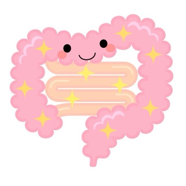 蠕動運動(ぜんどううんどう)