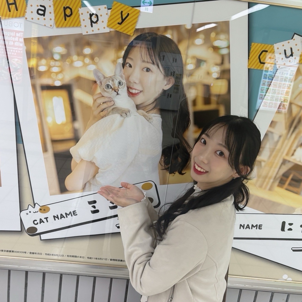 🐈‍⬛のん🐈‍⬛