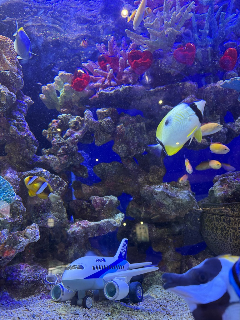 968fc4f95e64e599bf90ac1cdee0d23e