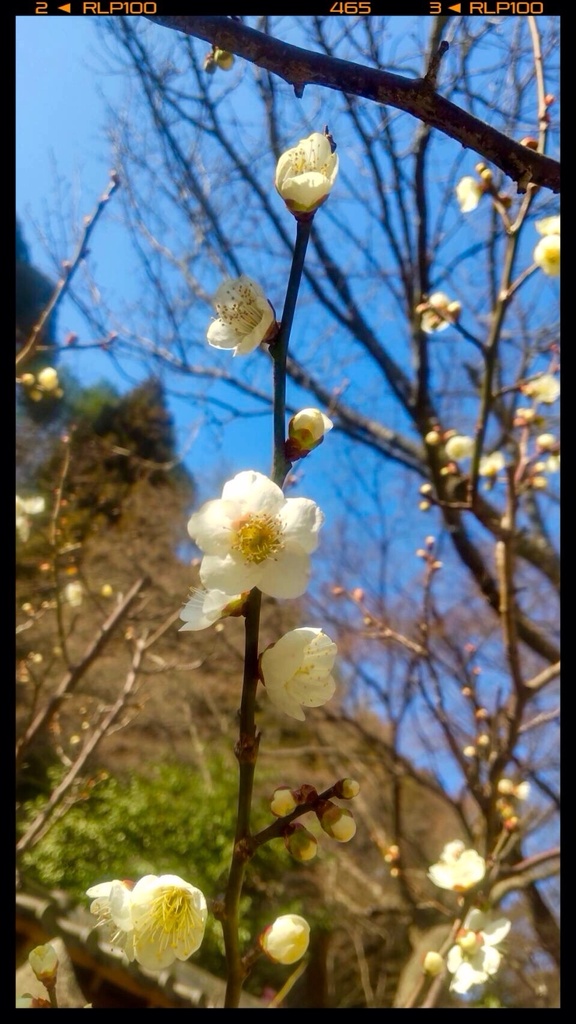 70cf4c44b52355dfb154e3c4ec282a26