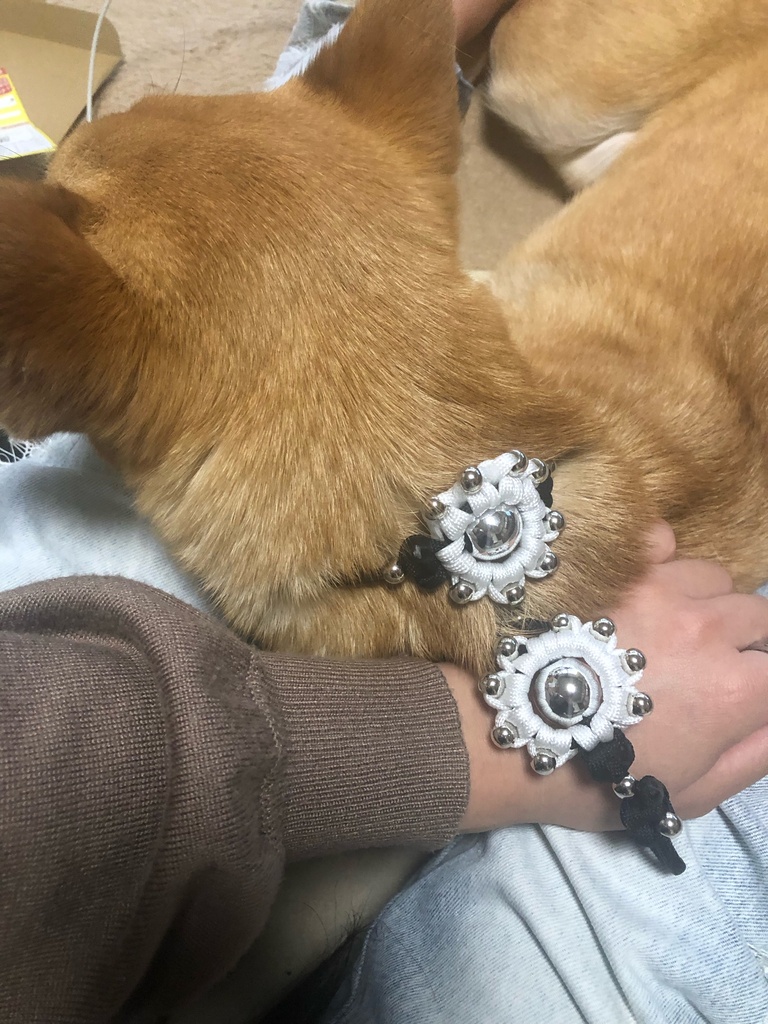 ab453881e00eb0aca62867518a4c175b